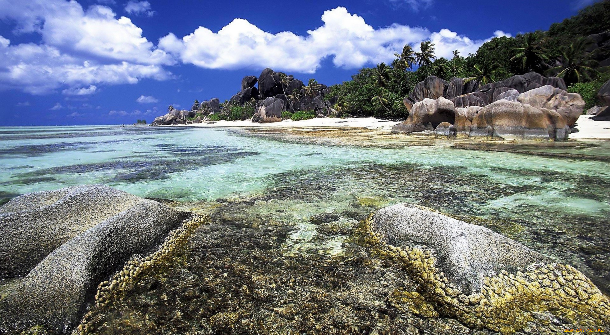 Коралловые острова Сейшелы